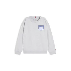TOMMY HILFIGER Majica modra/pegasto siva
