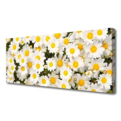 tulup.si Slika na platnu Marjetice cvetje 120x60 cm