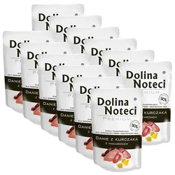 Dolina Noteci Premium Chicken Stew with Pasta 12 x 300 g