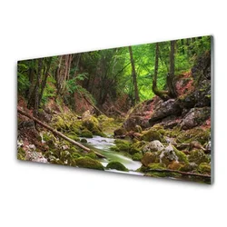 tulup.si Steklena slika Forest moss narava 120x60 cm 2 obešalnika