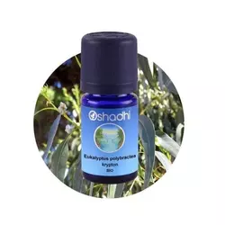 Oshadhi eterično ulje EUKALIPTUS (polybractea krypton) 10ml