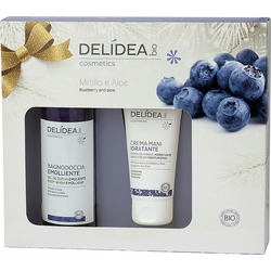 Delidea Blueberry & Aloe Body & Hands Set - 1 ste