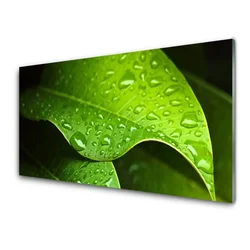 tulup.si Slika na akrilnem steklu Dew drops leaf 140x70 cm 2 obešalnika
