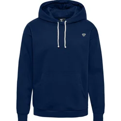 hmlLOOSE HOODIE BEE