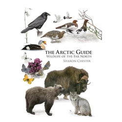 Arctic Guide