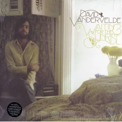 David Vandervelde - Waiting For The Sunrise (LP)