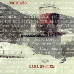 Karl Seglem - Ossicles (Limited Edition) (LP)