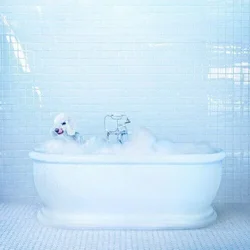 Frankie Cosmos - Vessel (Limited Edition) (Blue Translucent Coloured) (LP)