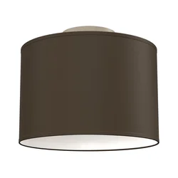 Plafonska svetiljka ARDEN 1xE27/15W/230V, prečnik 25 cm, crna