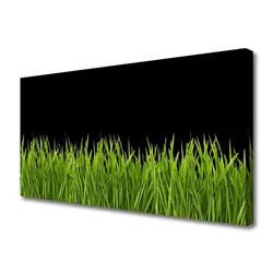 tulup.si Slika na platnu Green grass nature 100x50 cm
