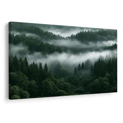 Slika meglen gorski gozd ob zori - 40x30