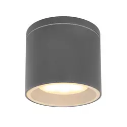 Globo 32063A - Spoljna plafonska svetiljka ALCALA 1xGX53/11W/230V IP44