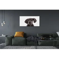 tulup.si Slika na platnu Rjav pes 140x70 cm