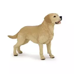 Papo: labrador
