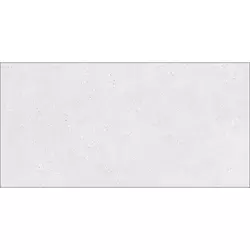 Metropolis Light Grey 60×120