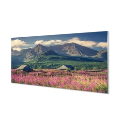 tulup.si Slika na akrilnem steklu Top vikend box 140x70 cm 4 obešalnika