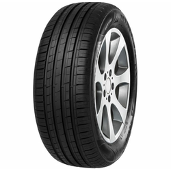 Minerva 209 ( 185/70 R14 88H )