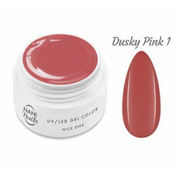 NANI UV gel Nice One Color 5 ml – Dusky Pink