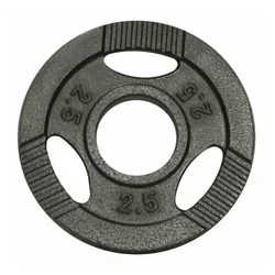 GORILLA SPORTS Teg od livenog gvožđa 2.5 kg