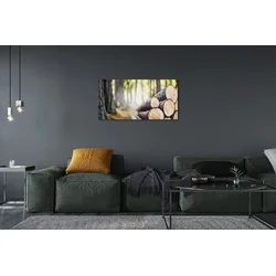 tulup.si Slika na platnu Les gozd narava 100x50 cm