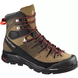 Salomon X ALP HIGH LTR GTX®, muške cipele za planinarenje, smeđa