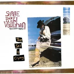 Stevie Ray Vaughan - The Sky Is Crying (Reissue) (180 g) (LP)