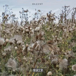 Broads & Milly Hirst - Ollust (LP)