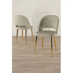 HANAH HOME Set stolica (6 komada) Pane Cream Gold