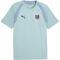 Puma Dres Austria Training