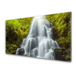 tulup.si Steklena slika Slap narava 100x50 cm 2 obešalnika