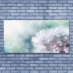 tulup.si Slika na platnu Dandelion rastlin 140x70 cm