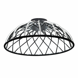 OPVIQ 3229 2 19 Black luster