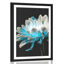 Plakat s paspartujem marjetica na črnem ozadju - 60x90 silver