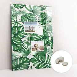 tulup.si Magnetna tabla Listi rastline monstera 60x90 cm