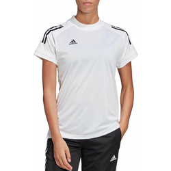 Dres adidas CONDIVO20 TRAINING JERSEY W