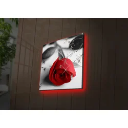 Zidna slika sa LED osvetljenjem 4040DACT-26, 40x40 cm