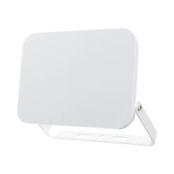 BRAYTRON CCT LED reflektor 100W