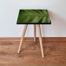 Hanah Home Klub sto Shp103, 35x42x35 cm, Zeleni