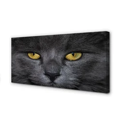 tulup.si Slika na platnu Črna mačka 125x50 cm