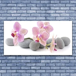 tulup.si Steklena slika Tree rastlin stones 140x70 cm 2 obešalnika