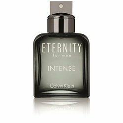 Calvin Klein Eternity Intense toaletna voda 100 ml za muškarce