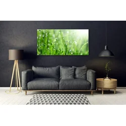 tulup.si Slika na steklu Narava grass drops 140x70 cm 4 obešalnika
