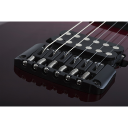 Schecter Reaper-6 Elite Blood Burst električna gitara