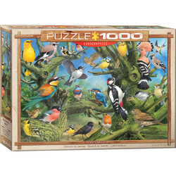 Eurographics Garden Birds by Joahn Franc 1000-Piece Puzzle 6000-0967