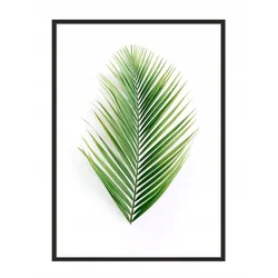 shumee PLAKAT ZA SLIKE V OKVIRJU 53x73 cm List P1003