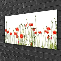 tulup.si Steklena slika Rastlinskih mak naravi 100x50 cm 4 obešalnika
