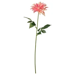 SMYCKA Veštački cvet, unutra/spolja dalija/roze, 65 cm
