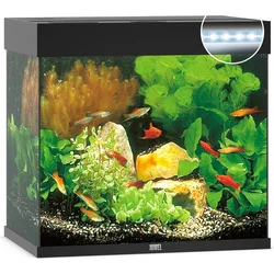 Juwel Akvarij Lido 120 LED - črna