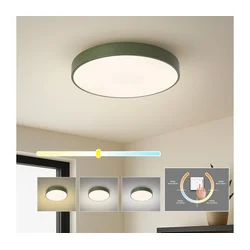 Brilagi - LED plafonsko svetlo POOL LED/48W/230V 3000/4000/6000K 40 cm zeleno