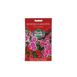 FLORIS cveće Kineski karanfil 0.3 g